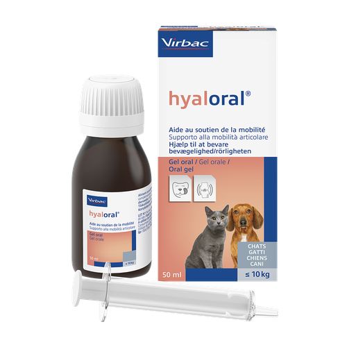 Hyaloral 50 ml gel pour les chats, les chiots et les petits chiens - MyStetho Veterinary