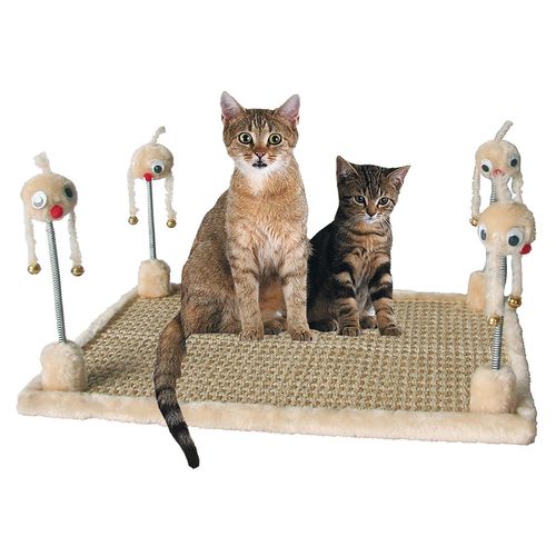 Swisspet tapis à gratter Tweety - MyStetho Veterinary