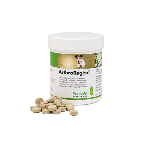 ArthroRegén 160 compr. - MyStetho Veterinary