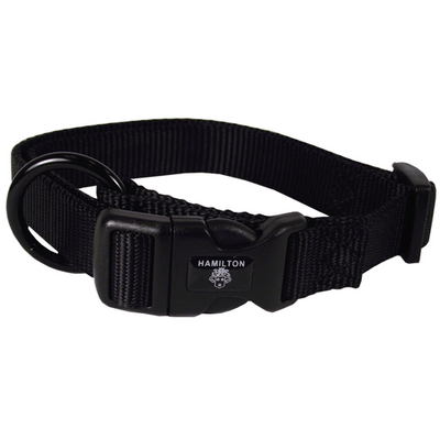 Collier pour chiens noir 2.5 x 45-65 cm - MyStetho Veterinary