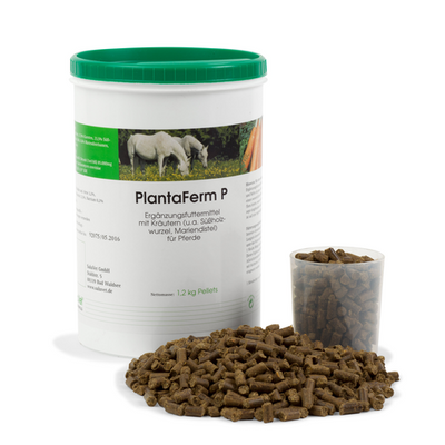 PlantaFerm-P 1200 g boîte - MyStetho Veterinary