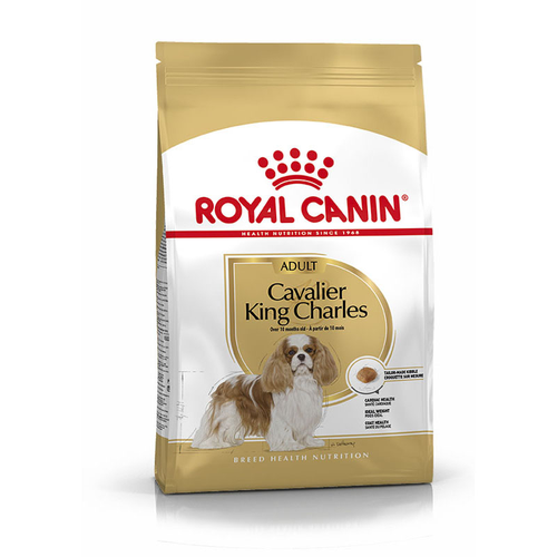 Royal Canin Cavalier King Charles Adult 1.5 kg - MyStetho Veterinary