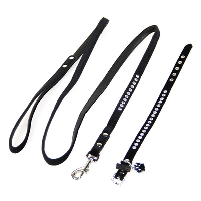 Trendline Set Azure: collier & laisse pour chiens & chats - MyStetho Veterinary