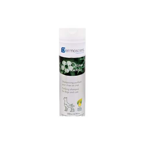 PYOclean® Shampoo - 200 ml - MyStetho Veterinary