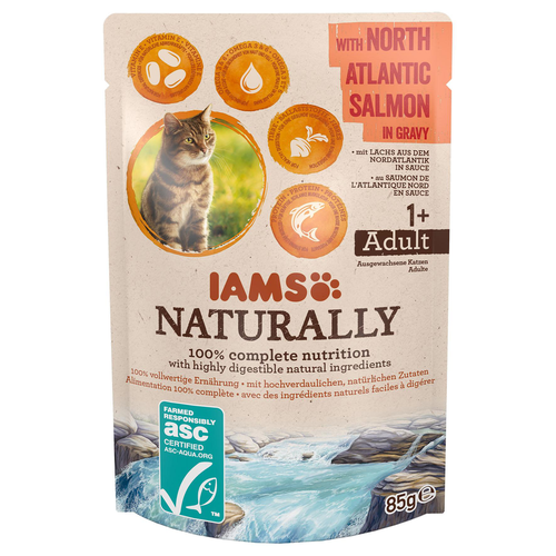 Iams Adult New Zealand Salmon 85g - MyStetho Veterinary