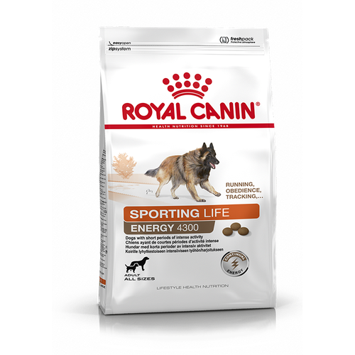 Royal Canin Energy 4300 15 kg - MyStetho Veterinary