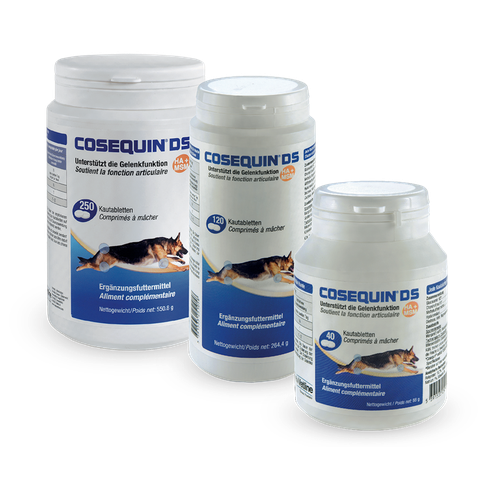 Cosequin DS HA+MSM (250  comprimé) - MyStetho Veterinary