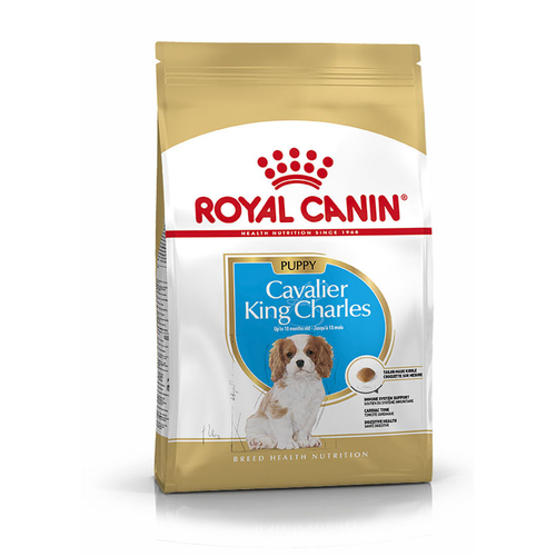 Royal Canin Cavalier King Charles Puppy 1.5 kg - MyStetho Veterinary