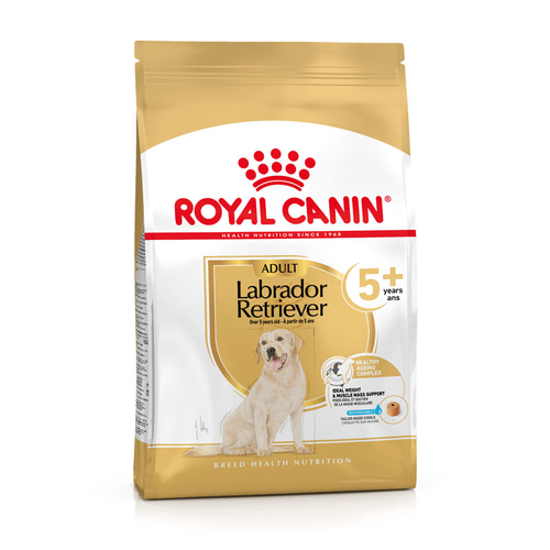 Royal Canin Labrador Retriever Adult 5+ 3 kg - MyStetho Veterinary