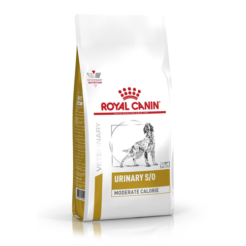 Royal Canin URINARY S/O MODERATE CALORIE  6,5 kg - MyStetho Veterinary