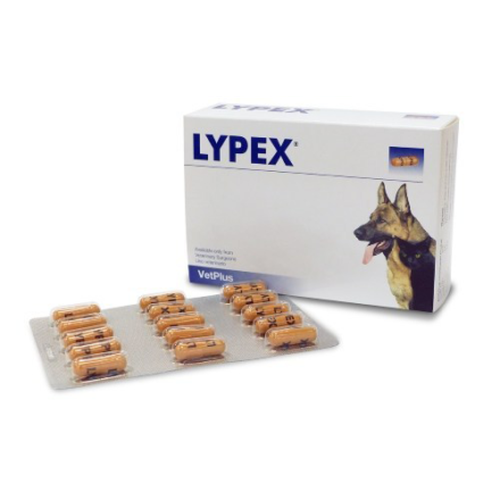 LYPEX© (15 comprimés) - MyStetho Veterinary