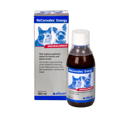 ReConvales Energy 180ml flacon en verre - MyStetho Veterinary