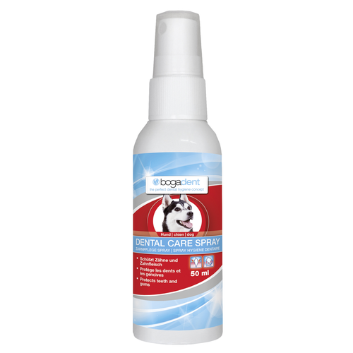 bogadent Dental Care Spray pour chiens 50ml - MyStetho Veterinary