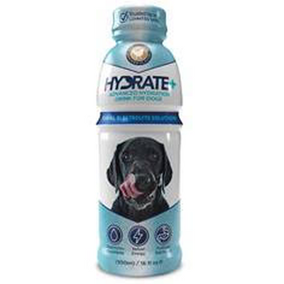 Oralade Hydrate+ Dog 500ml - MyStetho Veterinary