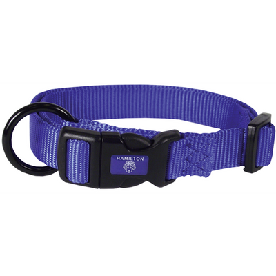 Collier pour chiens bleu 2 x 40 - 55 cm - MyStetho Veterinary