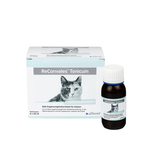 ReConvales Tonicum chat 45ml (1 flacon) - MyStetho Veterinary