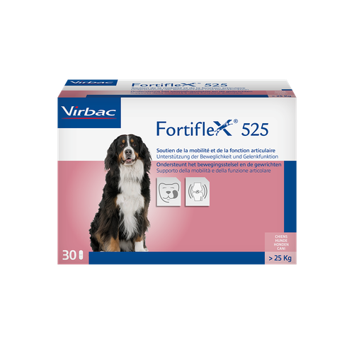 Fortiflex 525mg 25-40 kg (1 comprimé) - MyStetho Veterinary