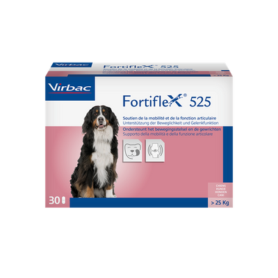 Fortiflex 525mg 25-40 kg (1 comprimé) - MyStetho Veterinary