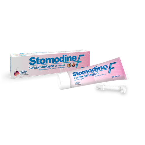 Stomodine F 30 ml tube - MyStetho Veterinary