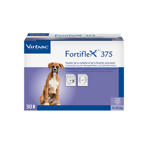 Fortiflex 375mg 15-25 kg (1 comprimé) - MyStetho Veterinary