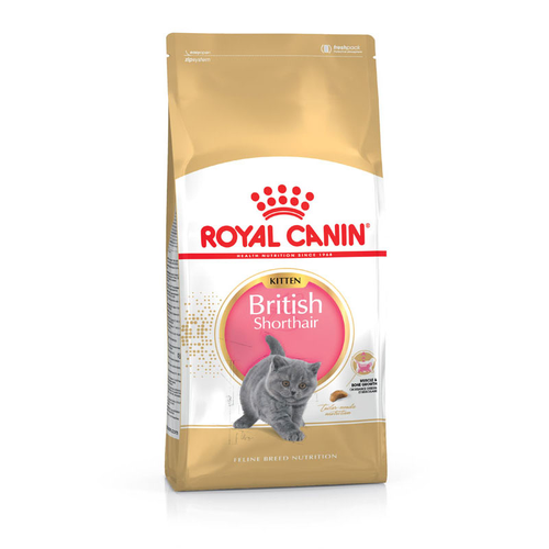 Royal Canin British Shorthair Kitten 2 kg - MyStetho Veterinary