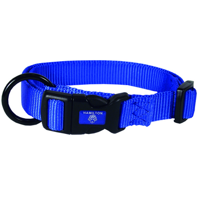 Collier pour chiens bleu 1 x 20 - 30 cm lang - MyStetho Veterinary