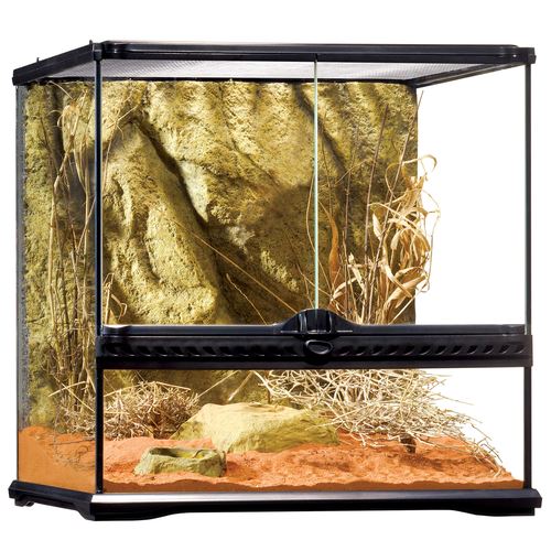 Exo Terra Glas Terrarium (50.6x51x51.5cm) - MyStetho Veterinary