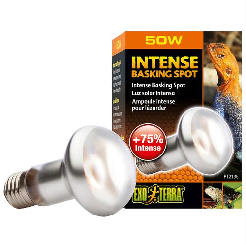 Exo Terra Intense Basking Spot Wärmespotlampe (75W) - MyStetho Veterinary