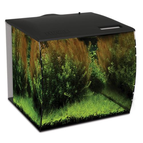 Fluval Aquarium Flex LED in schwarz - MyStetho Veterinary