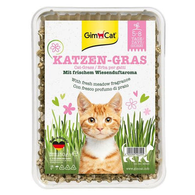 GimCat herbes à chats à l‘odeur du pré - MyStetho Veterinary