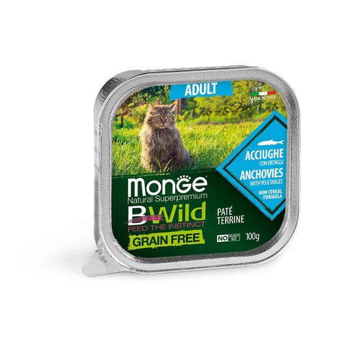 Monge Bwild GF Anchois adultes - MyStetho Veterinary