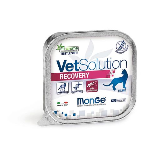 Monge Cat Recovery, 100g - MyStetho Veterinary