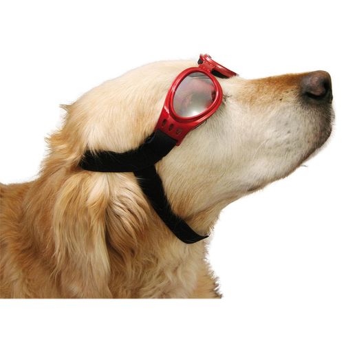 Swisspet Lunettes solaires Carbio, non teintées - MyStetho Veterinary